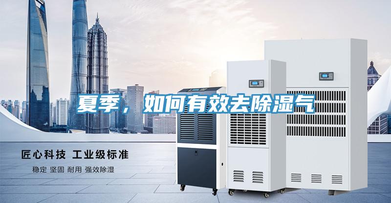 夏季，如何有效去除濕氣