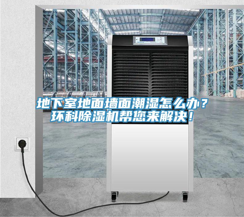 地下室地面墻面潮濕怎么辦？環(huán)科除濕機幫您來解決！