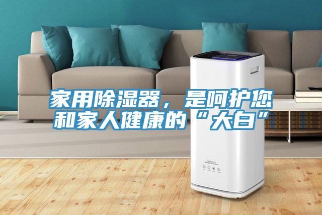 家用除濕器，是呵護您和家人健康的“大白”