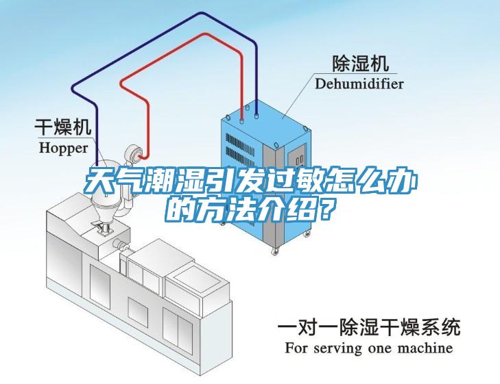天氣潮濕引發(fā)過敏怎么辦的方法介紹？