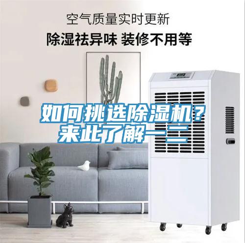 如何挑選除濕機？來此了解一二