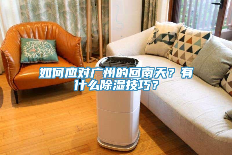 如何應對廣州的回南天？有什么除濕技巧？