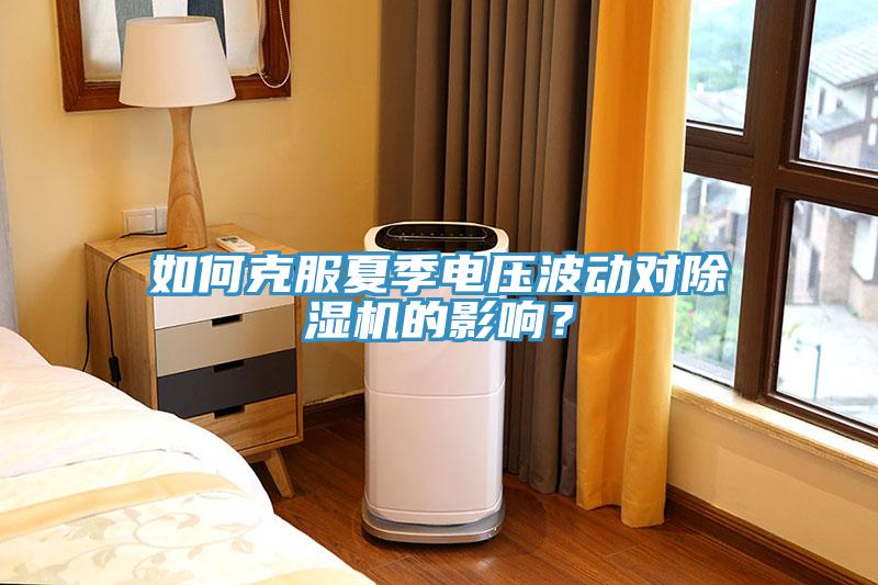如何克服夏季電壓波動對除濕機的影響？