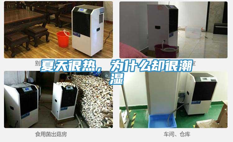 夏天很熱，為什么卻很潮濕