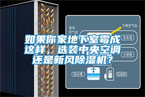 如果你家地下室霉成這樣，選裝中央空調(diào)還是新風(fēng)除濕機(jī)？