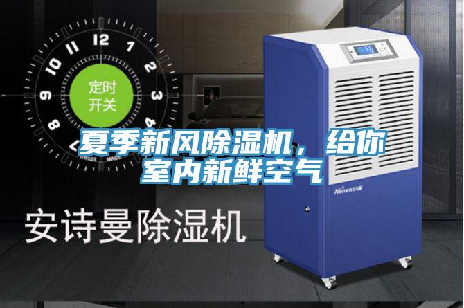 夏季新風(fēng)除濕機(jī)，給你室內(nèi)新鮮空氣