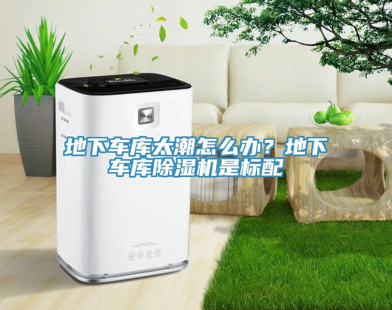 地下車庫(kù)太潮怎么辦？地下車庫(kù)除濕機(jī)是標(biāo)配