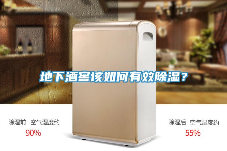 地下酒窖該如何有效除濕？