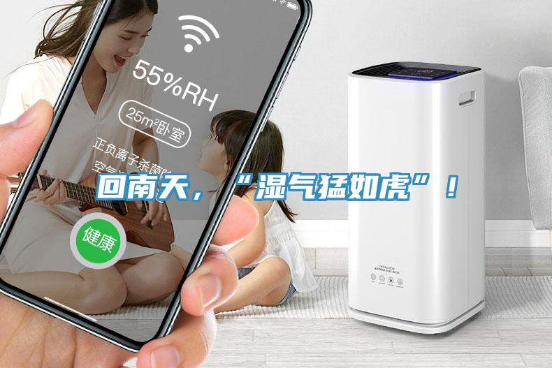 回南天，“濕氣猛如虎”！