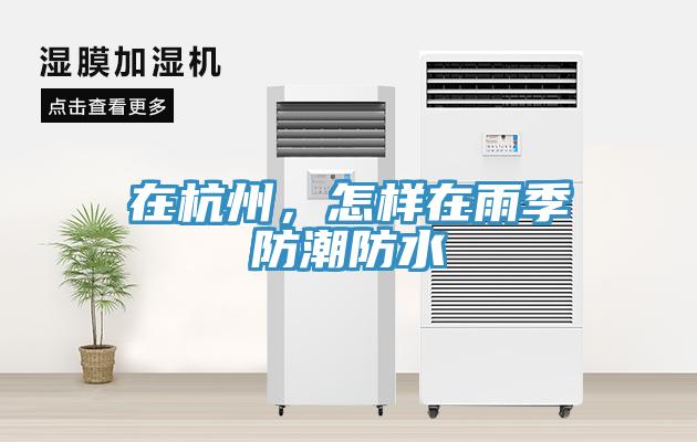 在杭州，怎樣在雨季防潮防水