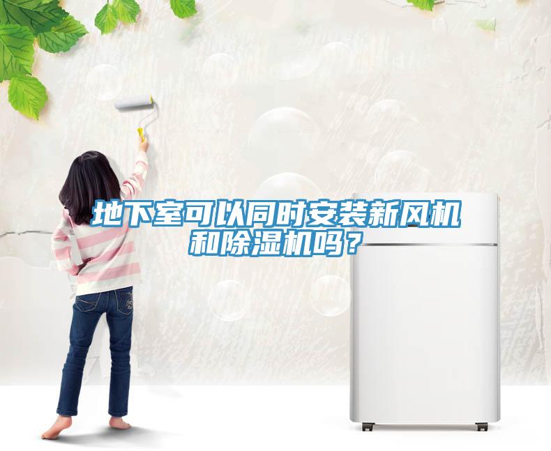 地下室可以同時安裝新風機和除濕機嗎？