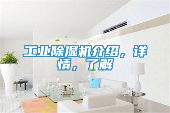 工業(yè)除濕機(jī)介紹，詳情，了解