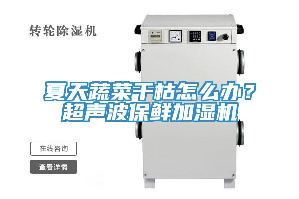 夏天蔬菜干枯怎么辦？超聲波保鮮加濕機(jī)