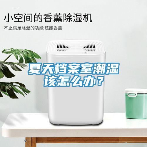 夏天檔案室潮濕該怎么辦？