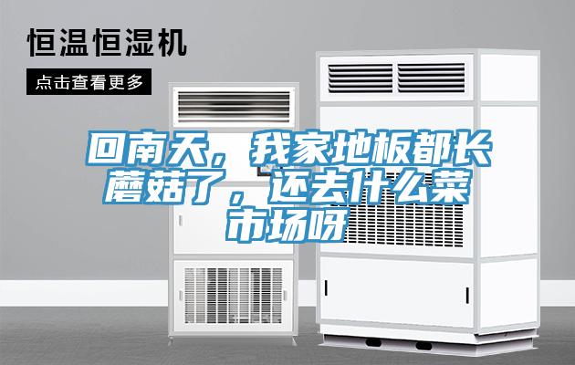 回南天，我家地板都長(zhǎng)蘑菇了，還去什么菜市場(chǎng)呀
