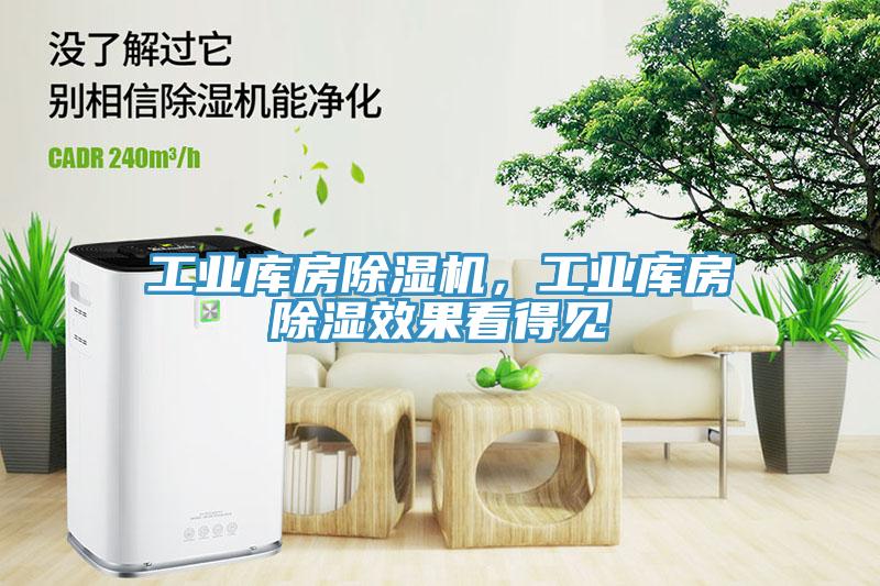 工業(yè)庫(kù)房除濕機(jī)，工業(yè)庫(kù)房除濕效果看得見(jiàn)
