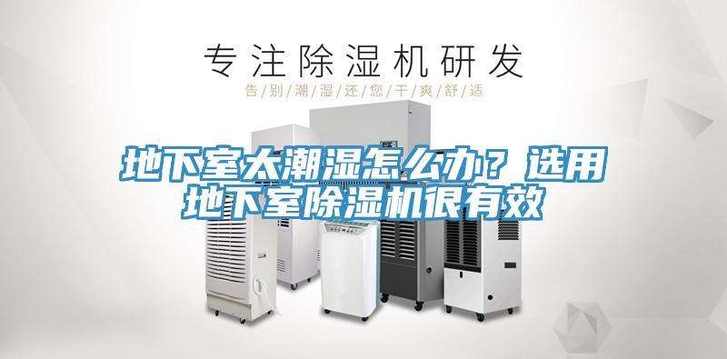 地下室太潮濕怎么辦？選用地下室除濕機很有效