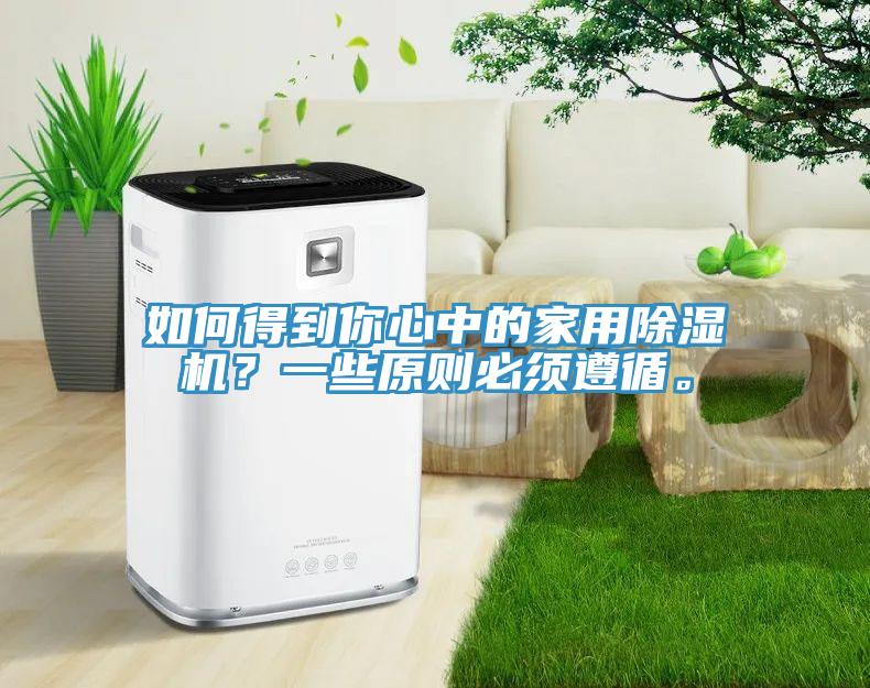 如何得到你心中的家用除濕機？一些原則必須遵循。
