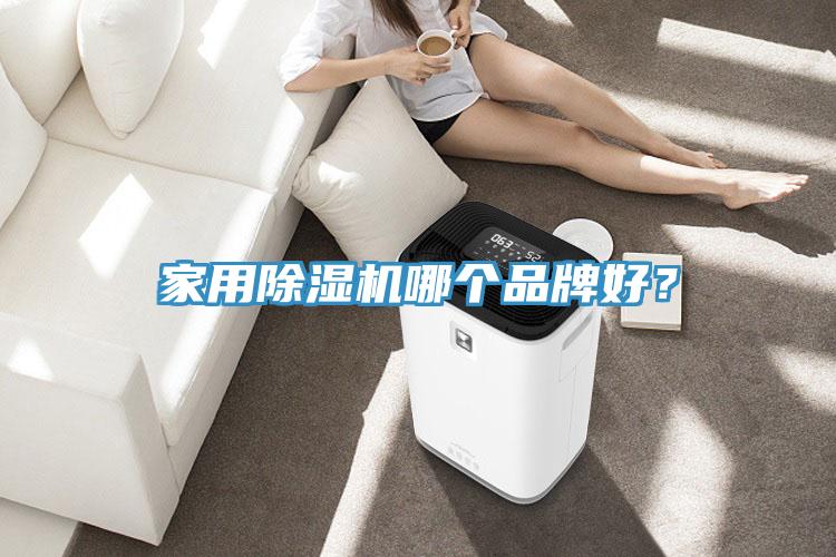家用除濕機(jī)哪個(gè)品牌好？
