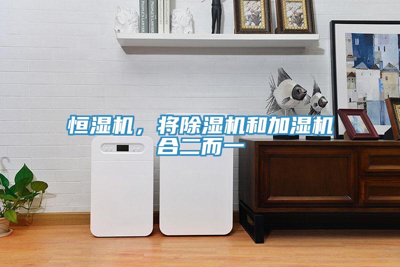 恒濕機(jī)，將除濕機(jī)和加濕機(jī)合二而一