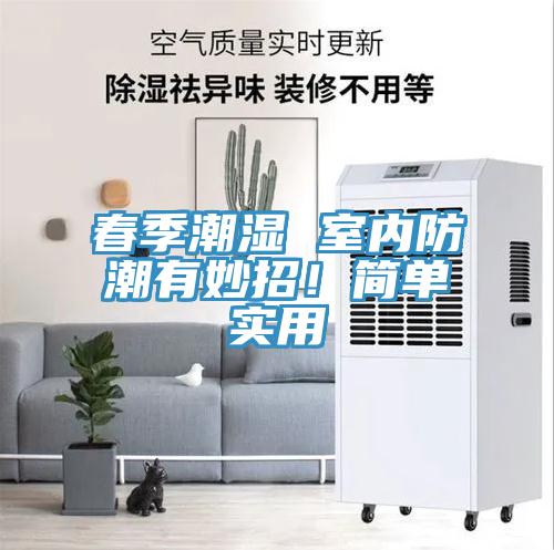 春季潮濕 室內(nèi)防潮有妙招！簡單實(shí)用