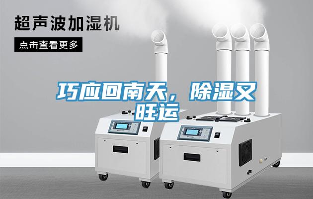 巧應(yīng)回南天，除濕又旺運(yùn)