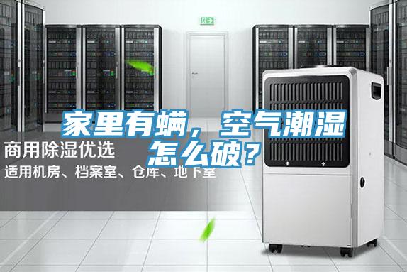 家里有螨，空氣潮濕怎么破？