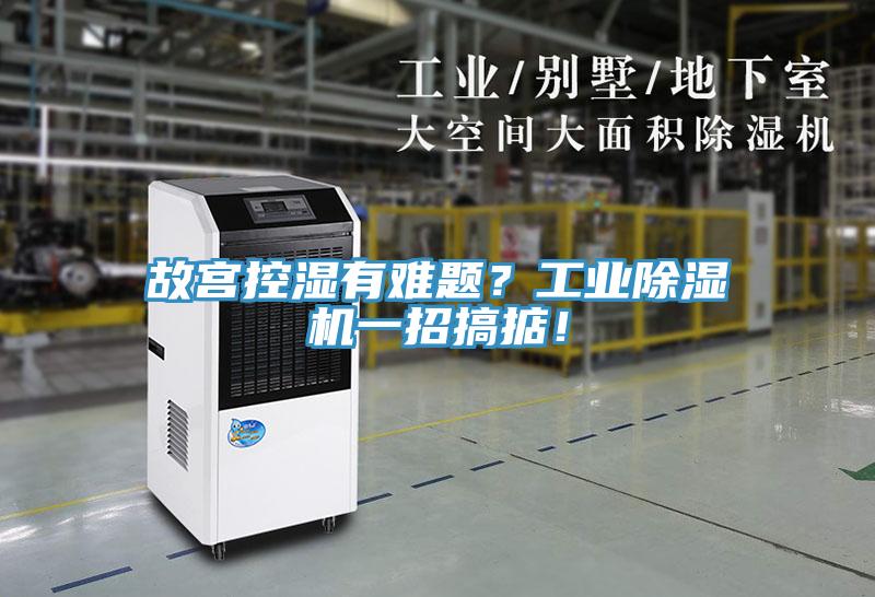故宮控濕有難題？工業(yè)除濕機(jī)一招搞掂！