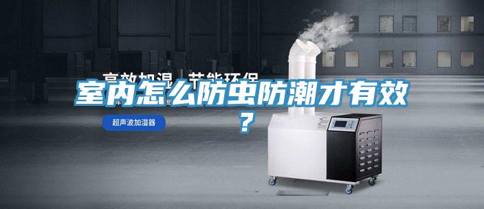 室內(nèi)怎么防蟲防潮才有效？
