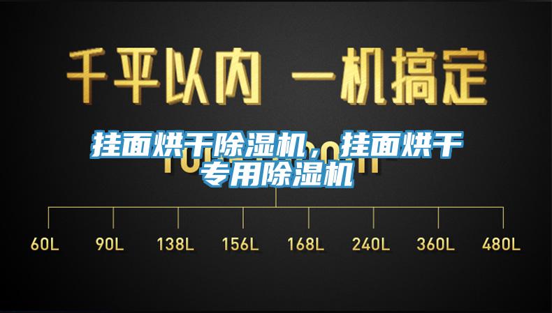 掛面烘干除濕機，掛面烘干專用除濕機