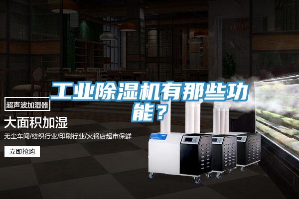 工業(yè)除濕機(jī)有那些功能？