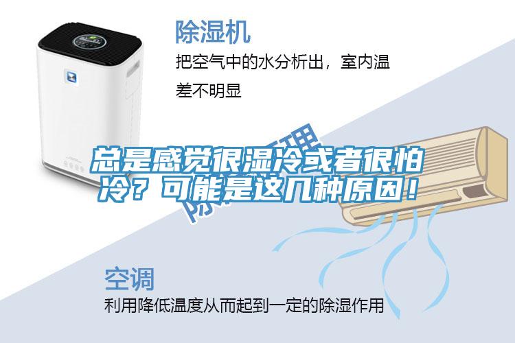 總是感覺很濕冷或者很怕冷？可能是這幾種原因！