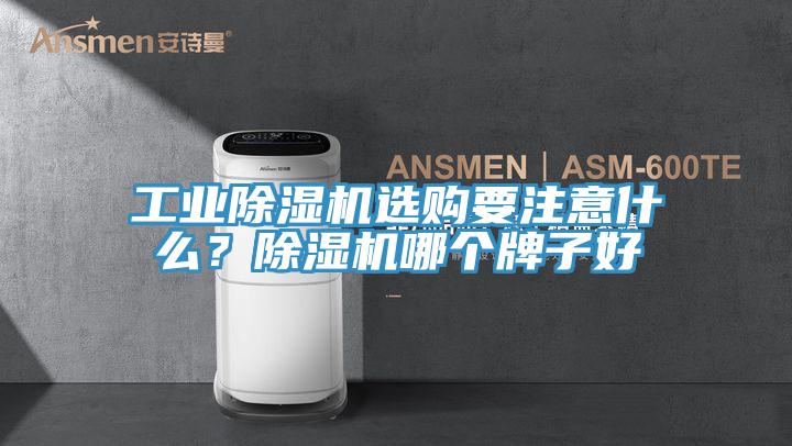 工業(yè)除濕機(jī)選購要注意什么？除濕機(jī)哪個(gè)牌子好