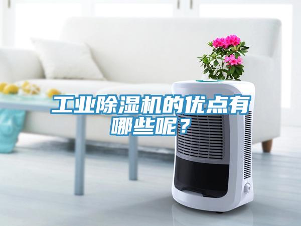 工業(yè)除濕機(jī)的優(yōu)點(diǎn)有哪些呢？