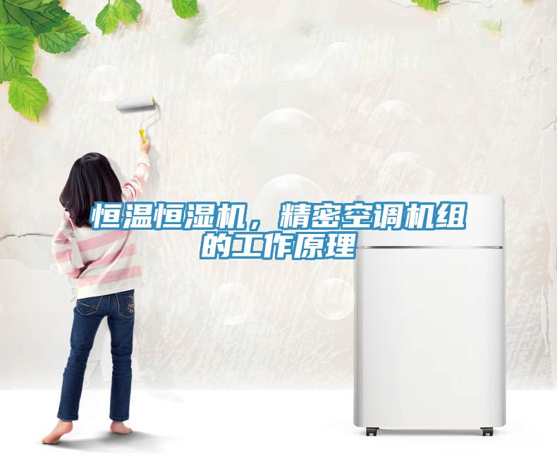 恒溫恒濕機，精密空調(diào)機組的工作原理