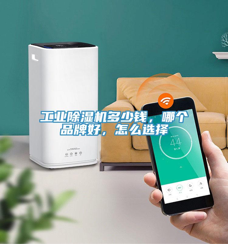 工業(yè)除濕機(jī)多少錢，哪個(gè)品牌好，怎么選擇