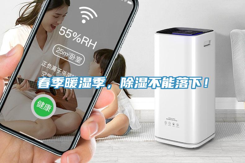 春季暖濕季，除濕不能落下！