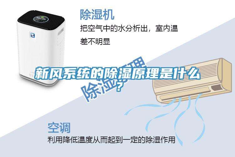 新風(fēng)系統(tǒng)的除濕原理是什么？