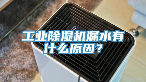 工業(yè)除濕機(jī)漏水有什么原因？