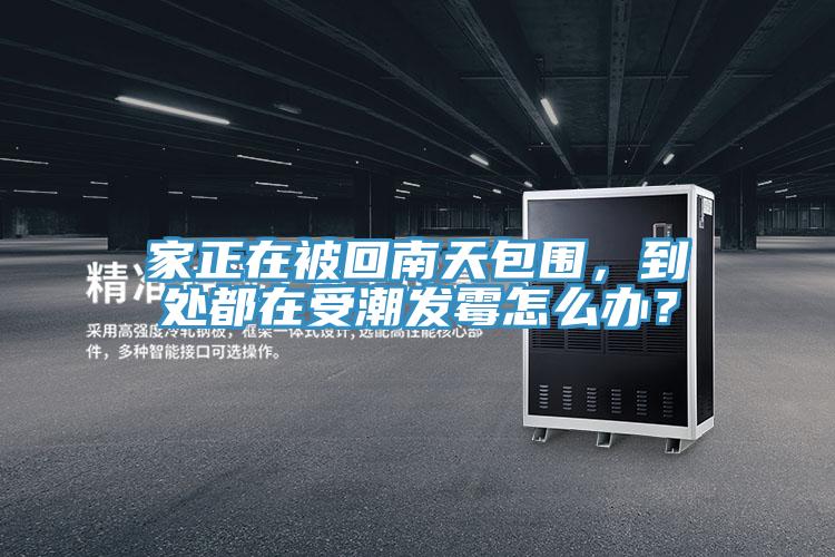 家正在被回南天包圍，到處都在受潮發(fā)霉怎么辦？