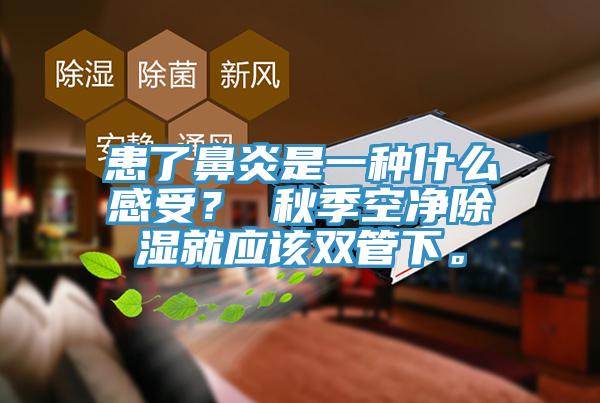 患了鼻炎是一種什么感受？ 秋季空凈除濕就應(yīng)該雙管下。