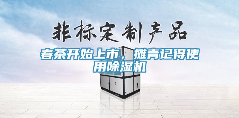 春茶開始上市，攤青記得使用除濕機