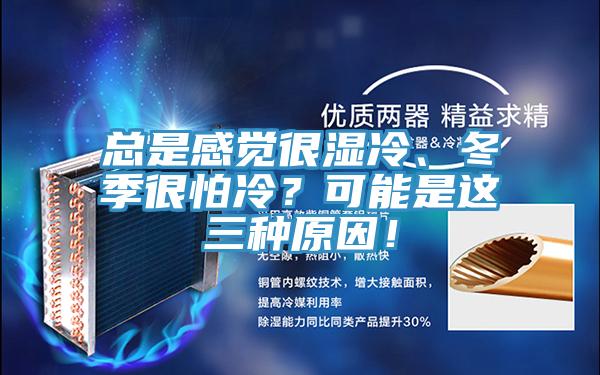 總是感覺很濕冷、冬季很怕冷？可能是這三種原因！