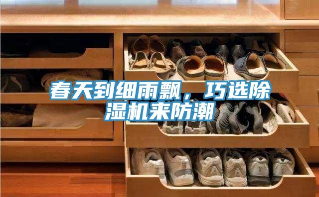 春天到細(xì)雨飄，巧選除濕機(jī)來防潮