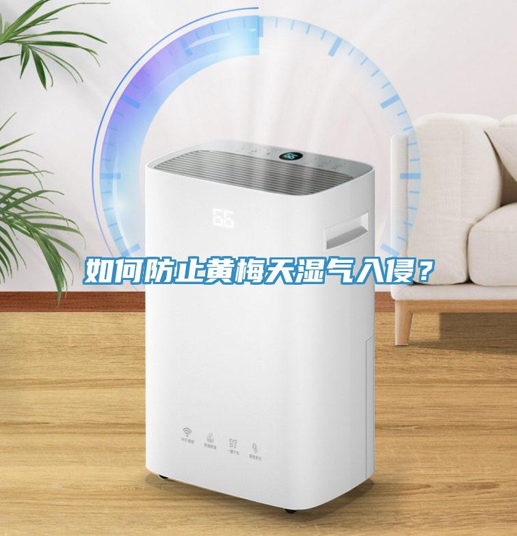 如何防止黃梅天濕氣入侵？