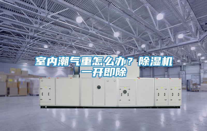 室內(nèi)潮氣重怎么辦？除濕機(jī)一開即除