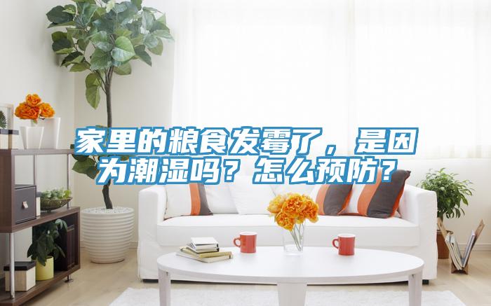 家里的糧食發(fā)霉了，是因為潮濕嗎？怎么預防？