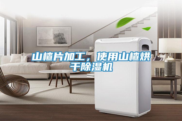 山楂片加工，使用山楂烘干除濕機