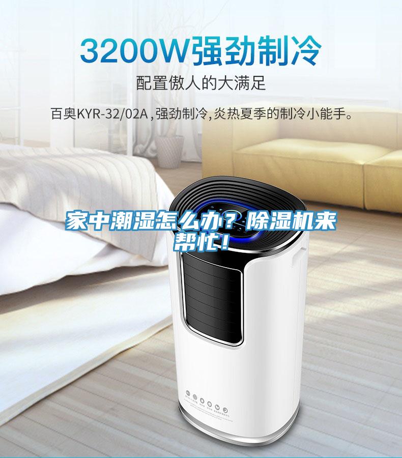 家中潮濕怎么辦？除濕機(jī)來幫忙！