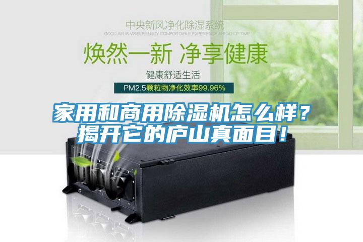 家用和商用除濕機怎么樣？揭開它的廬山真面目！